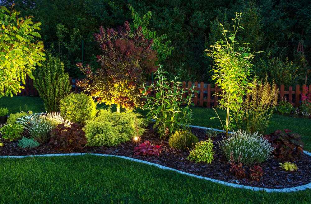 Pathway Lighting